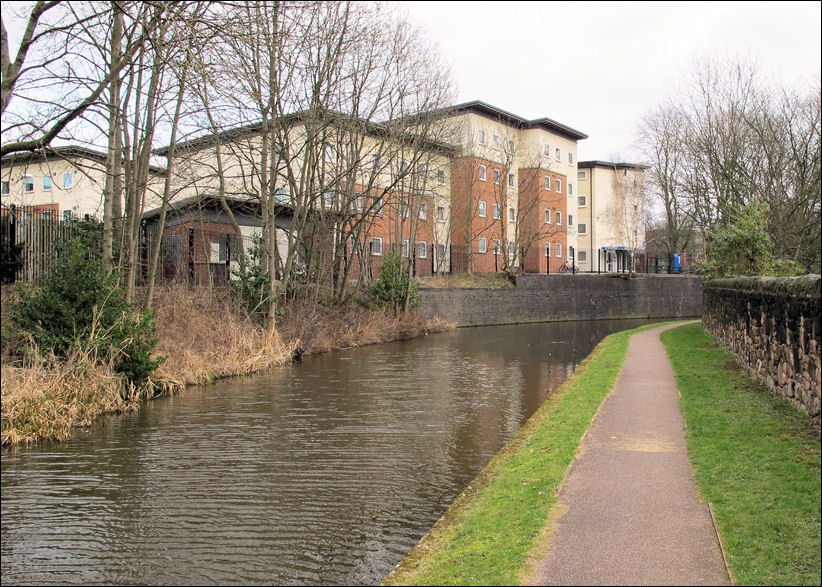 Student Flats on College Road - on the far left of the photo is 'Arthur's Garden' on Chamberlain Avenue