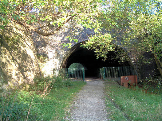 Birchenwood Tunnel - 2008