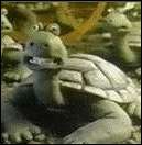creature comforts turtle