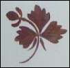 tea leaf pattern