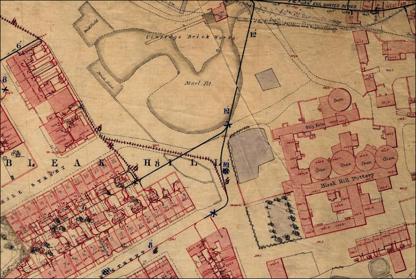 early 1851 map  showing the Bleak Hill Works 